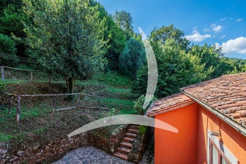 Farm hus i Pescia, Pistoia, Pescia - € 560.000 | Ref: a1190rc86823 - foto 11
