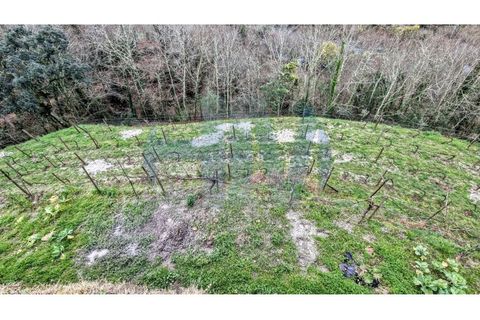 Villa i Amarante, Porto, Amarante - € 579.990 | Ref: HM021-08 - foto 45