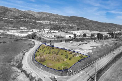 Helårsgrund i Covilha, Castelo Branco, Covilha - € 274.500 | Ref: SÒL_189 - foto 11