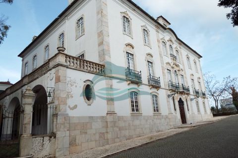 Villa a Sousel, Portalegre, Sousel - € 4.777.774 | Ref: PAL_15 - foto 2