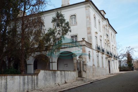 Villa a Sousel, Portalegre, Sousel - € 4.777.774 | Ref: PAL_15 - foto 3