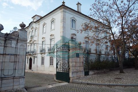 Villa a Sousel, Portalegre, Sousel - € 4.777.774 | Ref: PAL_15 - foto 4
