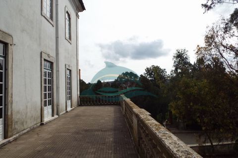 Villa a Sousel, Portalegre, Sousel - € 4.777.774 | Ref: PAL_15 - foto 42