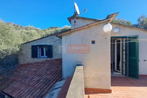 Landejendom i Ranzo, Imperia, Ranzo - € 220.000 | Ref: R5 - foto 21
