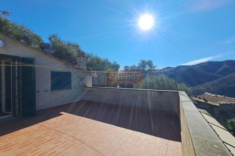Landejendom i Ranzo, Imperia, Ranzo - € 220.000 | Ref: R5 - foto 22