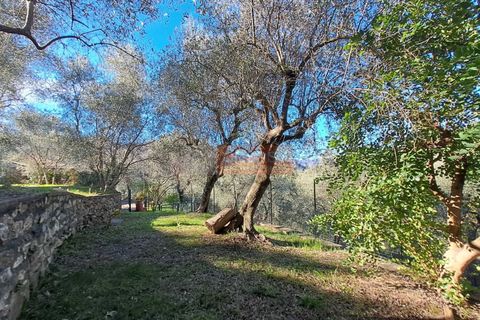 Landejendom i Ranzo, Imperia, Ranzo - € 220.000 | Ref: R5 - foto 26