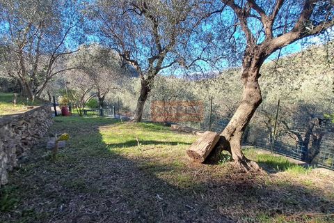 Landejendom i Ranzo, Imperia, Ranzo - € 220.000 | Ref: R5 - foto 27