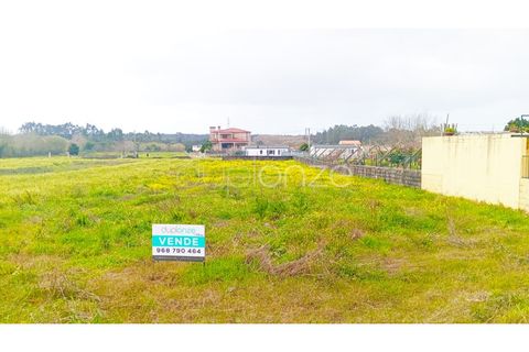 Helårsgrund i Maceda, Aveiro, Maceda - € 99.000 | Ref: 1055_24502 - foto 6