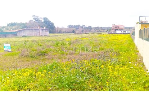 Helårsgrund i Maceda, Aveiro, Maceda - € 99.000 | Ref: 1055_24502 - foto 7