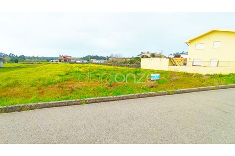 Helårsgrund i Maceda, Aveiro, Maceda - € 99.000 | Ref: 1055_24502 - foto 8