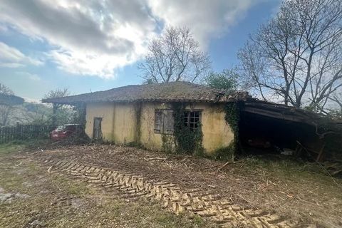 Landejendom i Masseube, Gers, Masseube - € 119.500 | Ref: 86776069 - foto 5