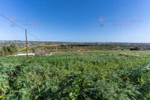 Villa i Siracusa, Siracusa, Siracusa - € 40.000 | Ref: TR1139 - foto 6