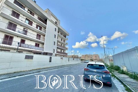 Terra a Aversa, Caserta, Aversa - € 220.000 | Ref: BR311 - foto 10