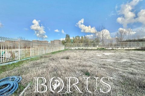Terra a Aversa, Caserta, Aversa - € 220.000 | Ref: BR311 - foto 11