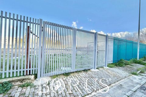 Terra a Aversa, Caserta, Aversa - € 220.000 | Ref: BR311 - foto 23