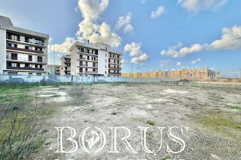 Terra a Aversa, Caserta, Aversa - € 220.000 | Ref: BR311 - foto 25