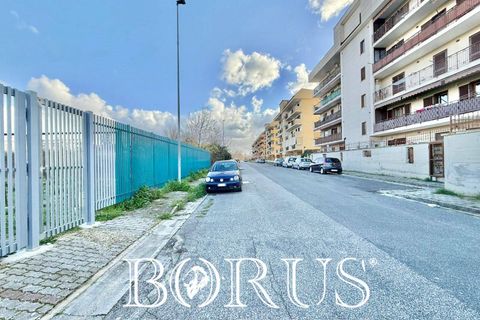 Terra a Aversa, Caserta, Aversa - € 220.000 | Ref: BR311 - foto 26