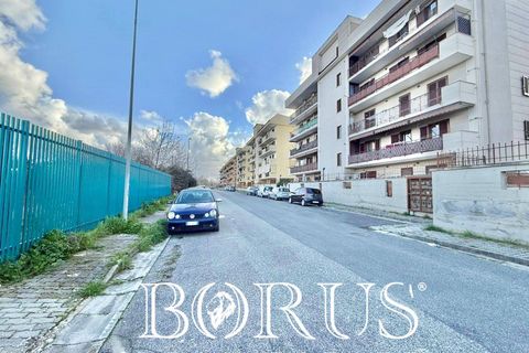 Terra a Aversa, Caserta, Aversa - € 220.000 | Ref: BR311 - foto 28