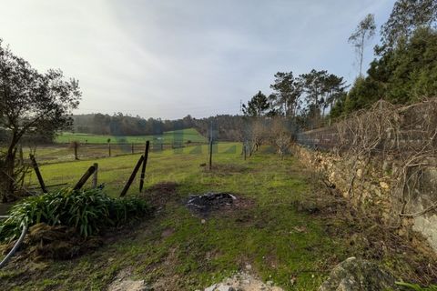 Helårsgrund i Trofa, Porto, Trofa - € 257.500 | Ref: VR-257-419 - foto 2