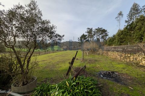 Helårsgrund i Trofa, Porto, Trofa - € 257.500 | Ref: VR-257-419 - foto 3