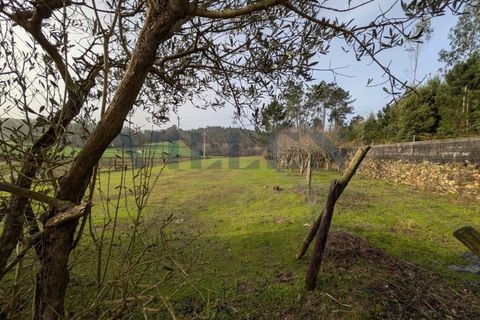 Helårsgrund i Trofa, Porto, Trofa - € 257.500 | Ref: VR-257-419 - foto 4