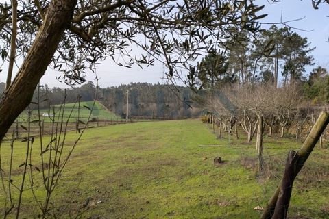 Helårsgrund i Trofa, Porto, Trofa - € 257.500 | Ref: VR-257-419 - foto 5