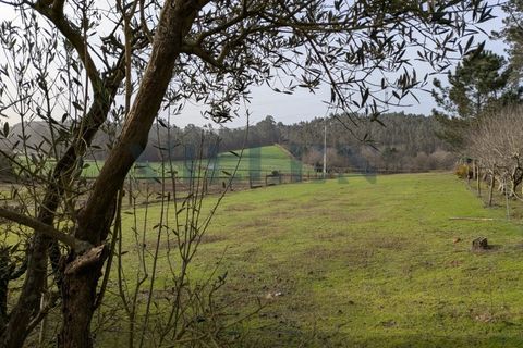 Helårsgrund i Trofa, Porto, Trofa - € 257.500 | Ref: VR-257-419 - foto 6