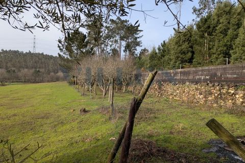 Helårsgrund i Trofa, Porto, Trofa - € 257.500 | Ref: VR-257-419 - foto 8