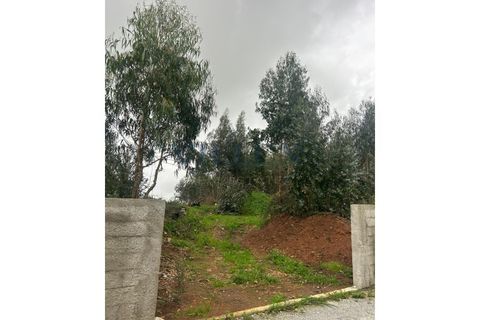 Helårsgrund i Trofa, Porto, Trofa - € 397.000 | Ref: VR-397-418 - foto 2