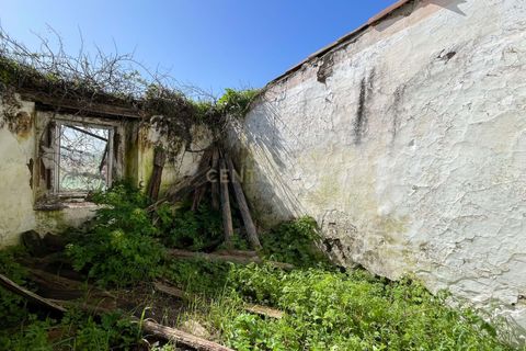 Villa a Fronteira, Portalegre, Fronteira - € 70.000 | Ref: C0483-01703 - foto 22