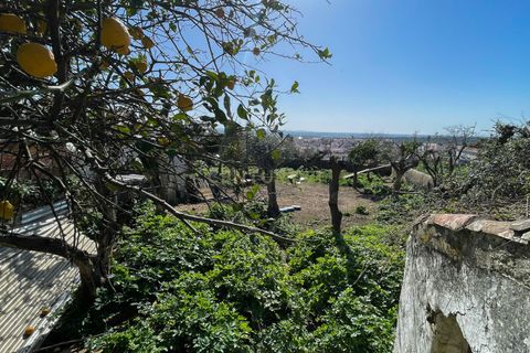 Villa a Fronteira, Portalegre, Fronteira - € 70.000 | Ref: C0483-01703 - foto 26