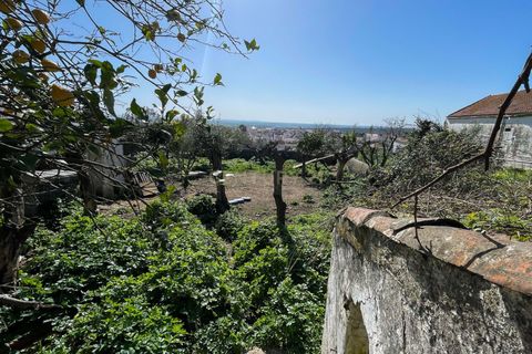 Villa a Fronteira, Portalegre, Fronteira - € 70.000 | Ref: C0483-01703 - foto 27