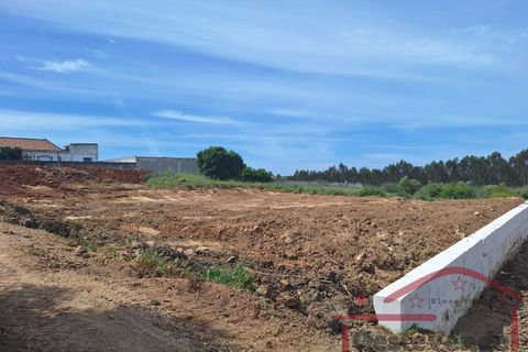 Helårsgrund i Cadaval, Lisbon, Cadaval - € 58.000 | Ref: 003-2026 - foto 4