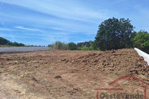 Helårsgrund i Cadaval, Lisbon, Cadaval - € 58.000 | Ref: 003-2026 - foto 7