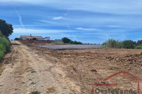 Helårsgrund i Cadaval, Lisbon, Cadaval - € 58.000 | Ref: 003-2026 - foto 8