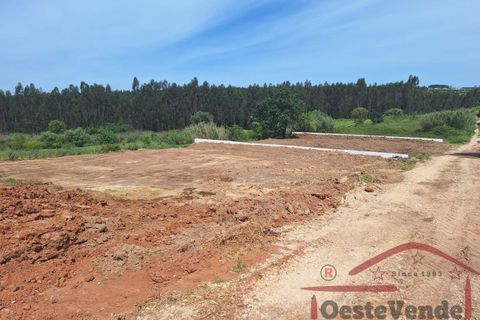 Helårsgrund i Cadaval, Lisbon, Cadaval - € 58.000 | Ref: 003-2026 - foto 11