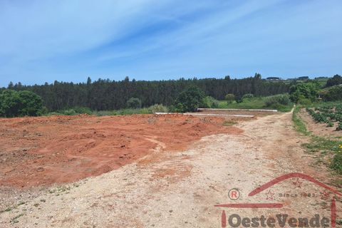 Helårsgrund i Cadaval, Lisbon, Cadaval - € 58.000 | Ref: 003-2026 - foto 12
