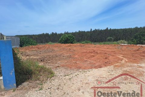 Helårsgrund i Cadaval, Lisbon, Cadaval - € 58.000 | Ref: 003-2026 - foto 13
