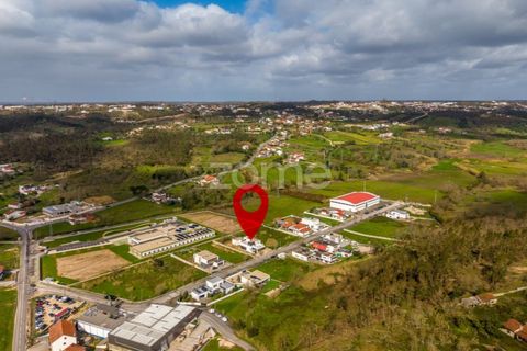 Villa a Boa Vista, Leiria, Boa Vista - € 595.000 | Ref: ZMPT585573 - foto 36