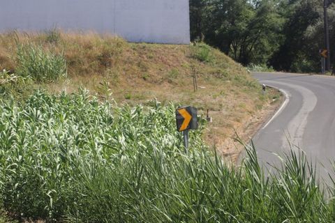 Helårsgrund i Vidais, Leiria, Vidais - € 80.000 | Ref: LA97907NN - foto 3