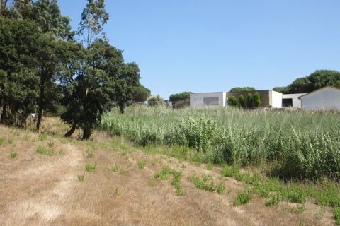 Helårsgrund i Vidais, Leiria, Vidais - € 80.000 | Ref: LA97907NN - foto 7
