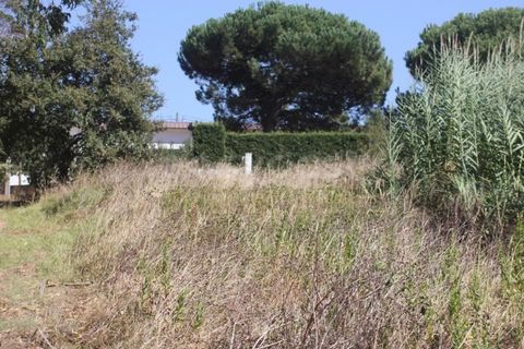 Helårsgrund i Vidais, Leiria, Vidais - € 80.000 | Ref: LA97907NN - foto 8