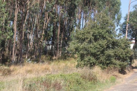 Helårsgrund i Vidais, Leiria, Vidais - € 80.000 | Ref: LA97907NN - foto 12
