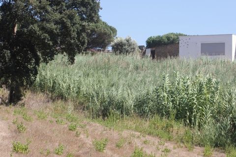 Helårsgrund i Vidais, Leiria, Vidais - € 80.000 | Ref: LA97907NN - foto 13