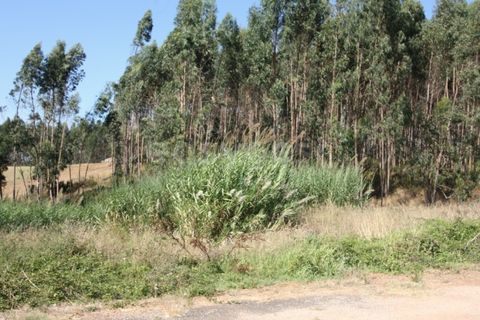 Helårsgrund i Vidais, Leiria, Vidais - € 80.000 | Ref: LA97907NN - foto 14
