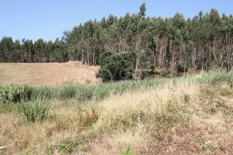 Helårsgrund i Vidais, Leiria, Vidais - € 80.000 | Ref: LA97907NN - foto 16