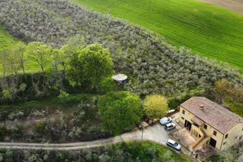 Landejendom i Castelplanio, Ancona, Castelplanio - € 430.000 | Ref: CR401 - foto 11