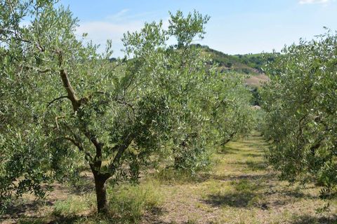 Landejendom i Castelplanio, Ancona, Castelplanio - € 430.000 | Ref: CR401 - foto 12