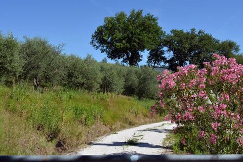 Landejendom i Castelplanio, Ancona, Castelplanio - € 430.000 | Ref: CR401 - foto 31