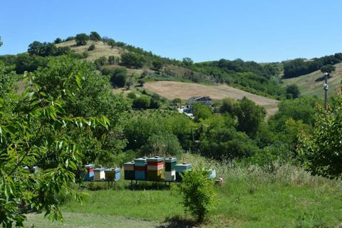 Landejendom i Castelplanio, Ancona, Castelplanio - € 430.000 | Ref: CR401 - foto 37